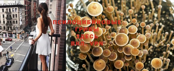 кристаллы Тихвин