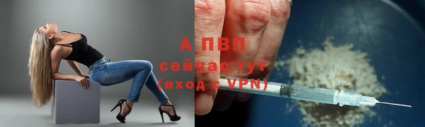 индика Тихорецк