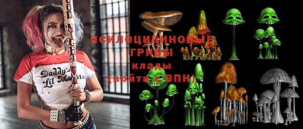 ALPHA PVP Теберда