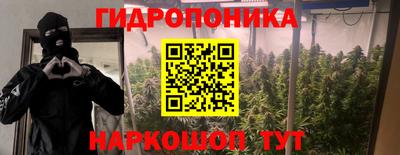твердый Заводоуковск